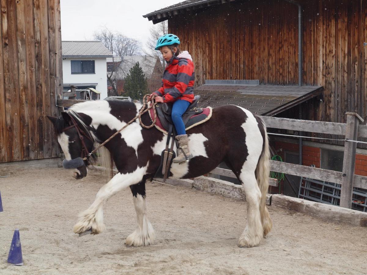 Viva B&B Urmein Экстерьер фото